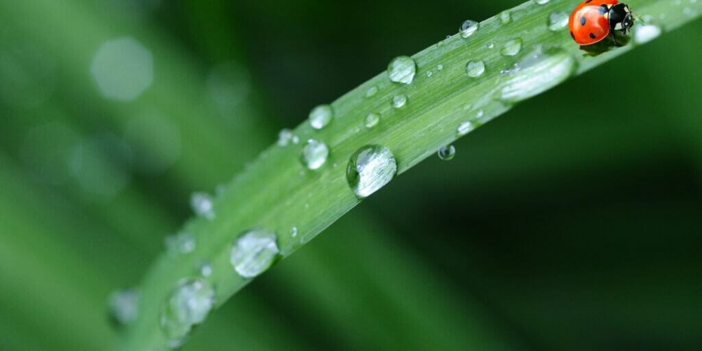 Bonus idrico esteso al 2023: ecco che cosa c'è da sapere